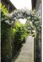 Nature Metalen rozenboog 'Morning Magic' H 229 x 113 x 38 cm - Thumbnail 3