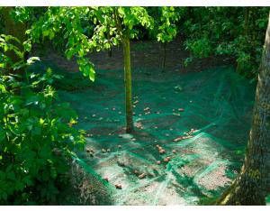 Nature Fruit- En Bladverzamelnet 4 3x4 3 M 6030451