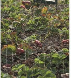 Nature Tuinnetten Primo Enkeldraads Pe Breisel Zwart Zeskantige Mazen + - 28x28 Mm 12 G m² 10 X 10 M - Foto 8