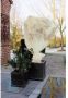 Nature plantenhoes XL 5 x 2 meter beige anti-vorst planten beschermhoes 500 x 200 cm - Thumbnail 3