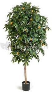 Plantenwinkel.nl Plantenwinkel Kunstplant Citrus mandarine L