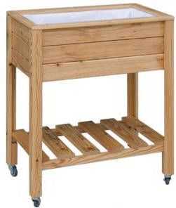 Royal Well kweektafel Planter-on-wheels 100 x 70 x 94 cm