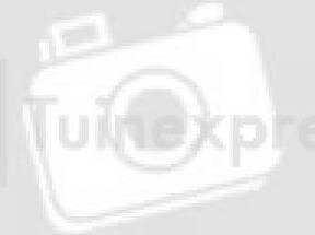 Ubbink Ledring 36 leds EU excl. Trafo 1 5 meter kabel Dubai waterornament