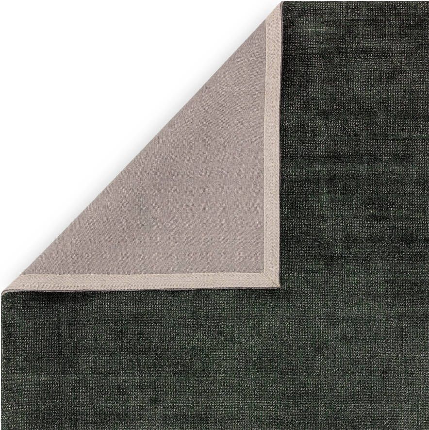 Easy Living Vloerkleed Aston Green Rug