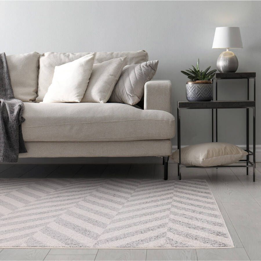 Easy Living Vloerkleed Muse Grey Chevron Rug MU07