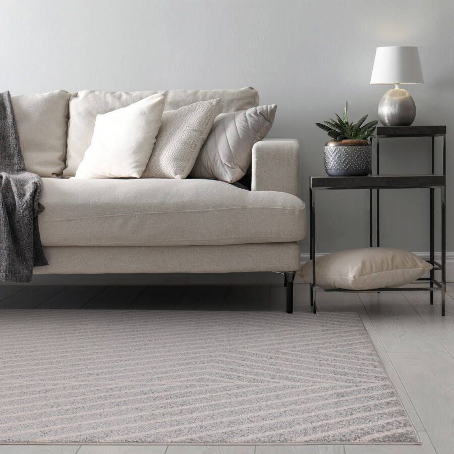 Easy Living Vloerkleed Muse Grey Linear Rug MU09
