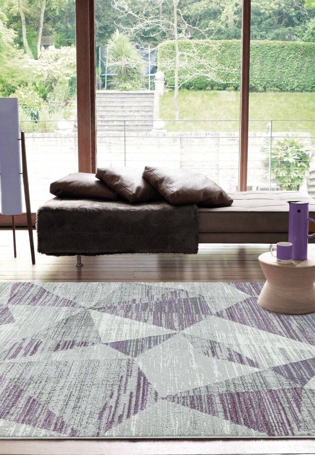 Easy Living Vloerkleed Orion OR13 Blocks Heather