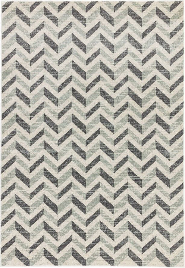 Easy Living Vloerkleed Colt CL07 Chevron Grey