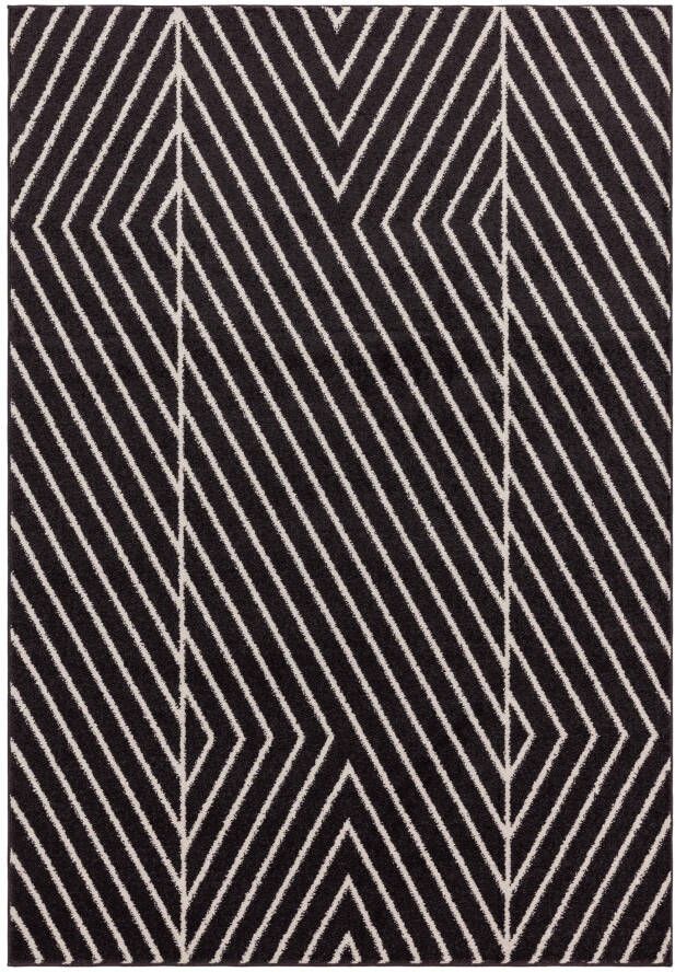 Easy Living Vloerkleed Muse Black Linear Rug MU10