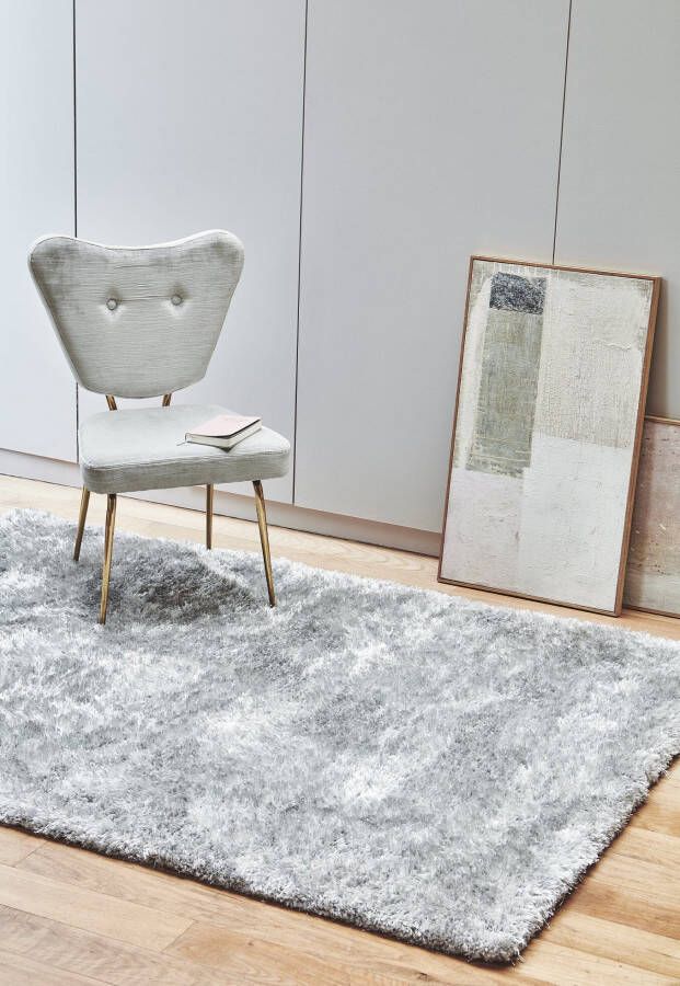 MOMO Rugs Nimbus Silver