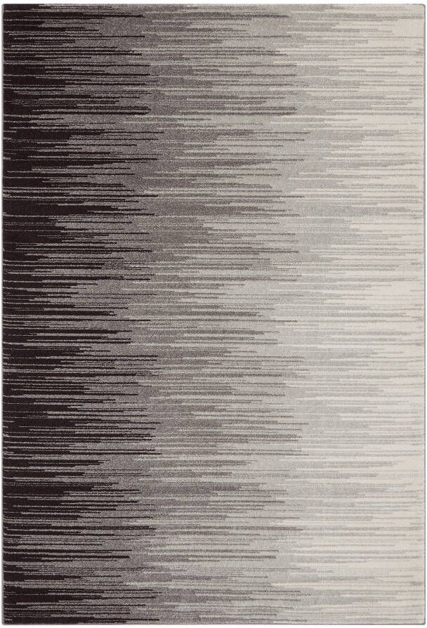 Easy Living Vloerkleed Nova Ombre Grey Rug NV13