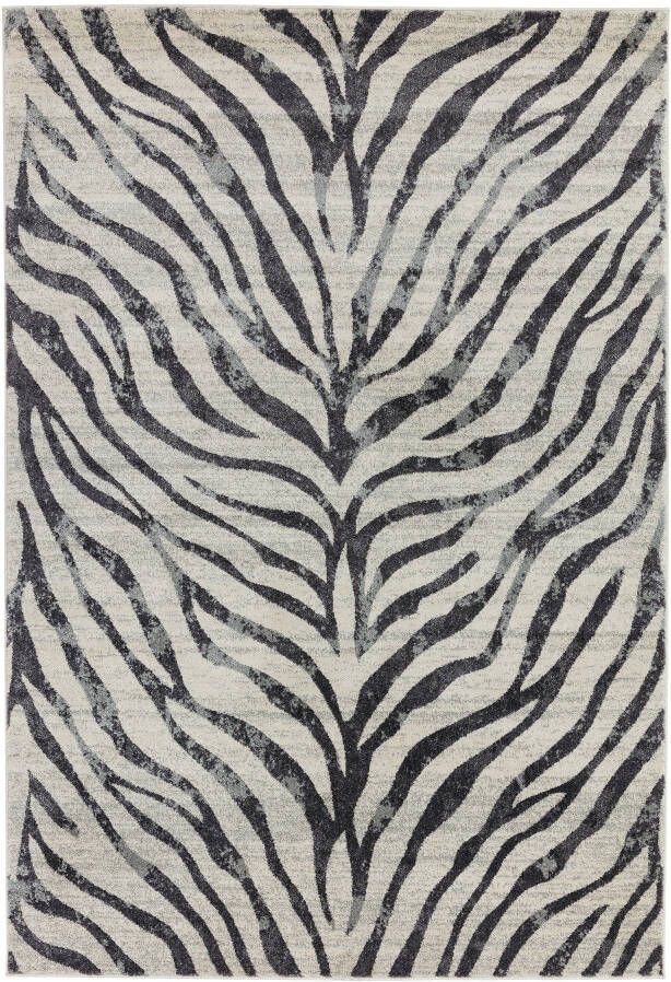 Easy Living Vloerkleed Nova Zebra Grey Rug NV27