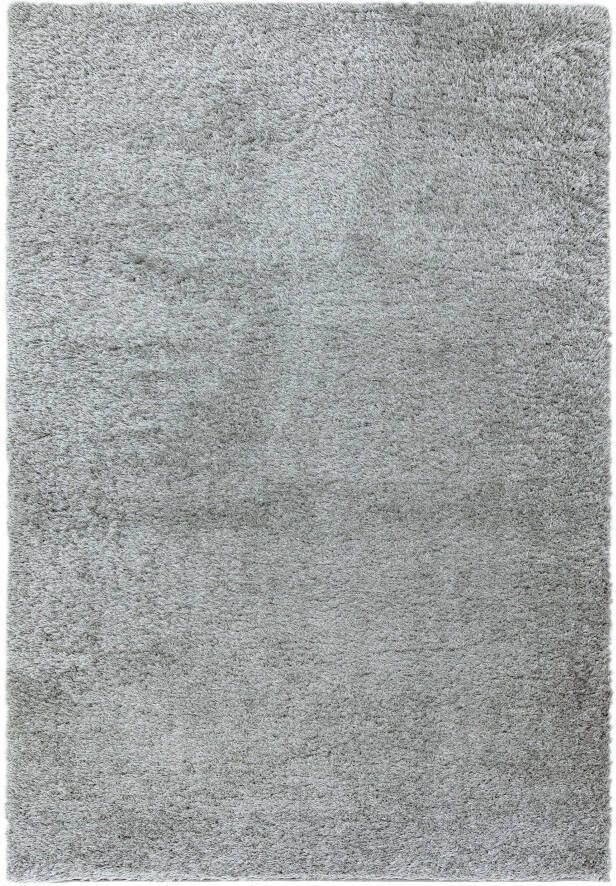 MOMO Rugs Payton Silver Vloerkleed