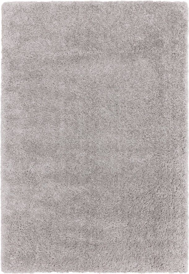 MOMO Rugs Ritchie Light Grey Vloerkleed