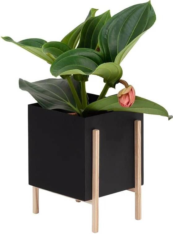 Design House Stockholm Botanic Pot plantenbak