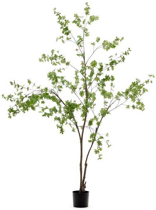 Kave Home Enkianthus-kunstboom met zwarte pot 214 cm