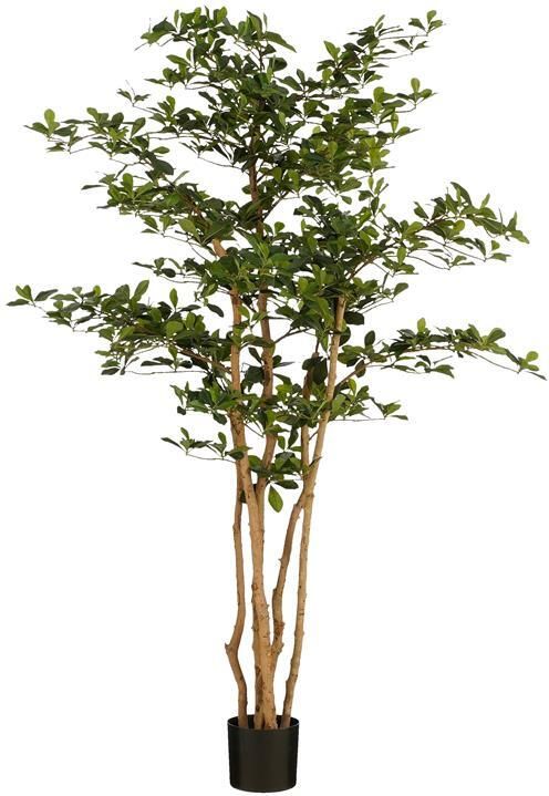 Mica Decorations Kunstplant Olijfboom in Pot H183 x Ø130 cm Groen