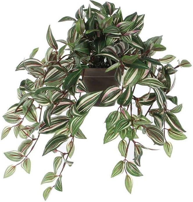 Mica Decorations Tradescantia Kunstplant 25 X 25 X 45 Cm 2 Stuks Grijs