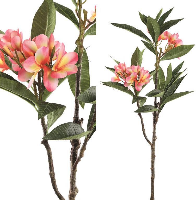 PTMD Garden Flower pink plumeria spray w leaves