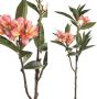 PTMD Collection Ptmd Plumeria Kunstbloem 72 X 25 X 110 Cm Kunststof Roze - Thumbnail 2