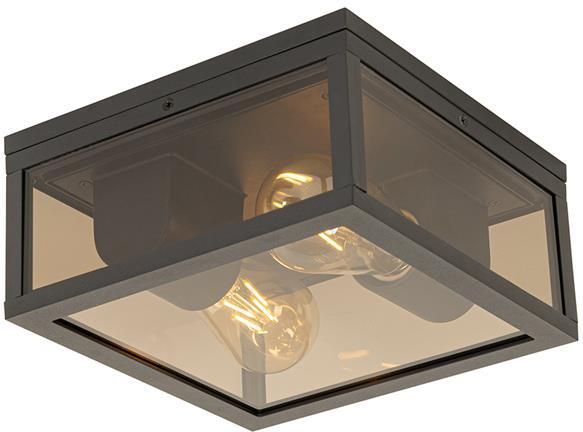 QAZQA Plafondlamp Zwart Met Smoke Glas 2-lichts Ip44 Charlois