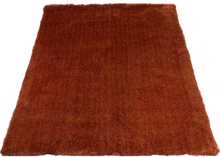 Veer Carpets Karpet Lago Terra 63 160 x 230 cm