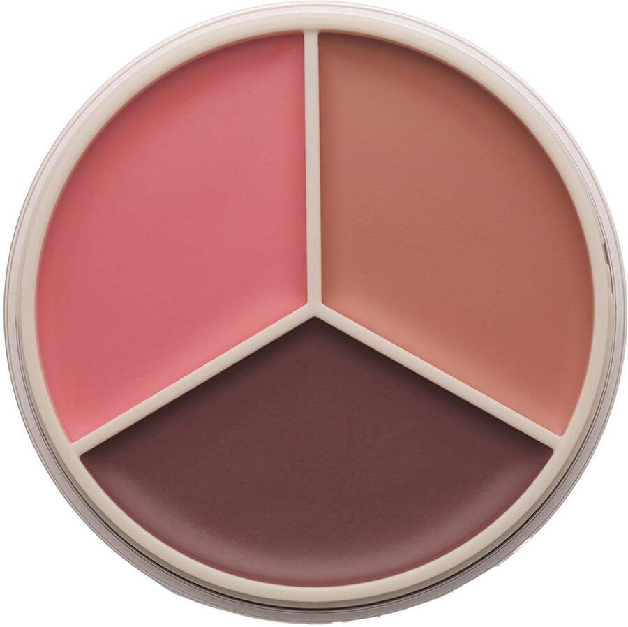 Anastasia Beverly Hills Magic Touch Trio blush Peach Trio