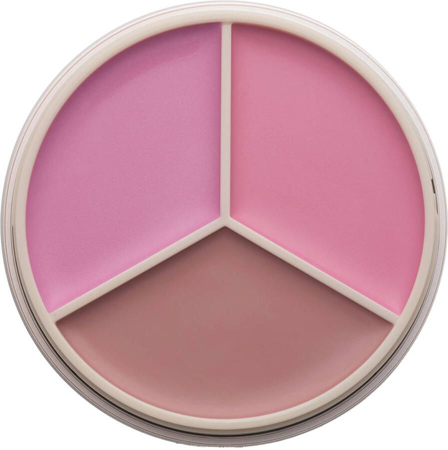 Anastasia Beverly Hills Magic Touch Trio blush Pink Trio