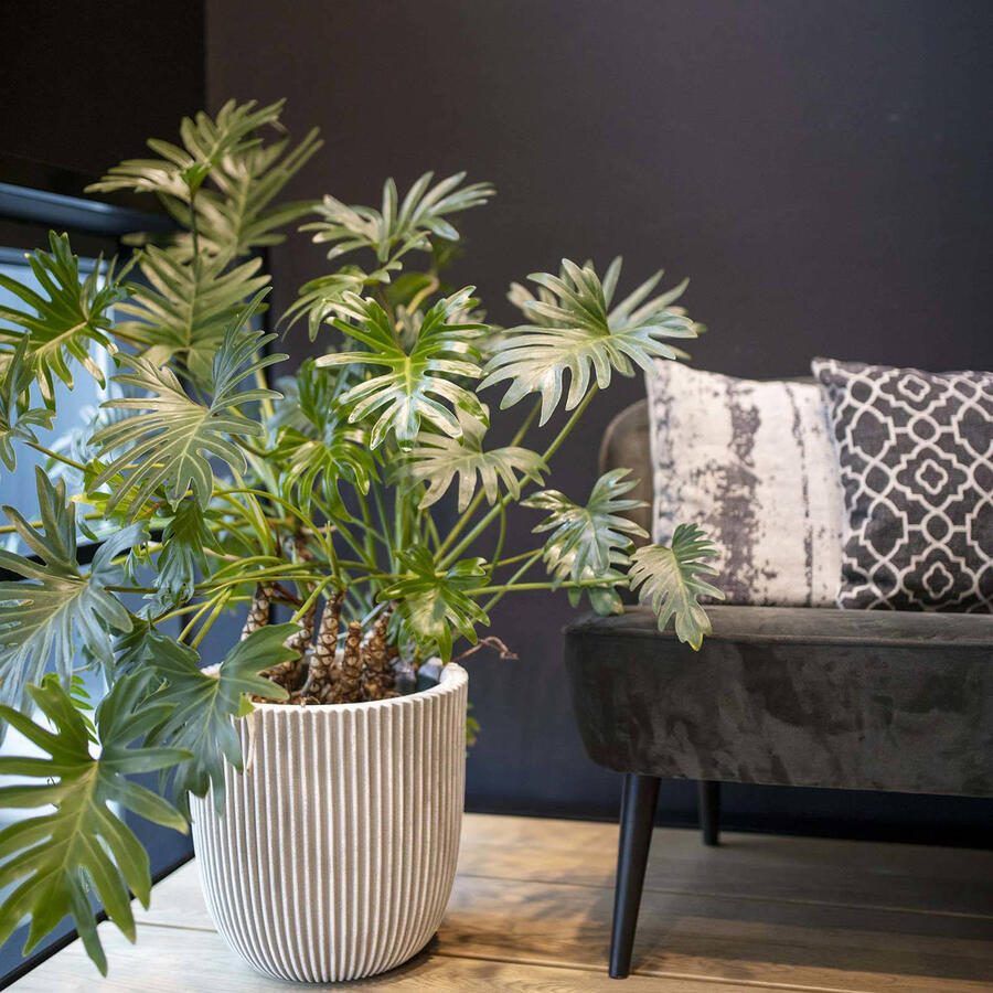 Capi Europe Bloempot bol Groove NL 35x34 Ivoor Opening Ø29 Bloempot voor binnen en buiten Levenslang garantie Breukbestendig 100% Recyclebaar CO2 Neutraal geproduceerd KGVI932 - Foto 3