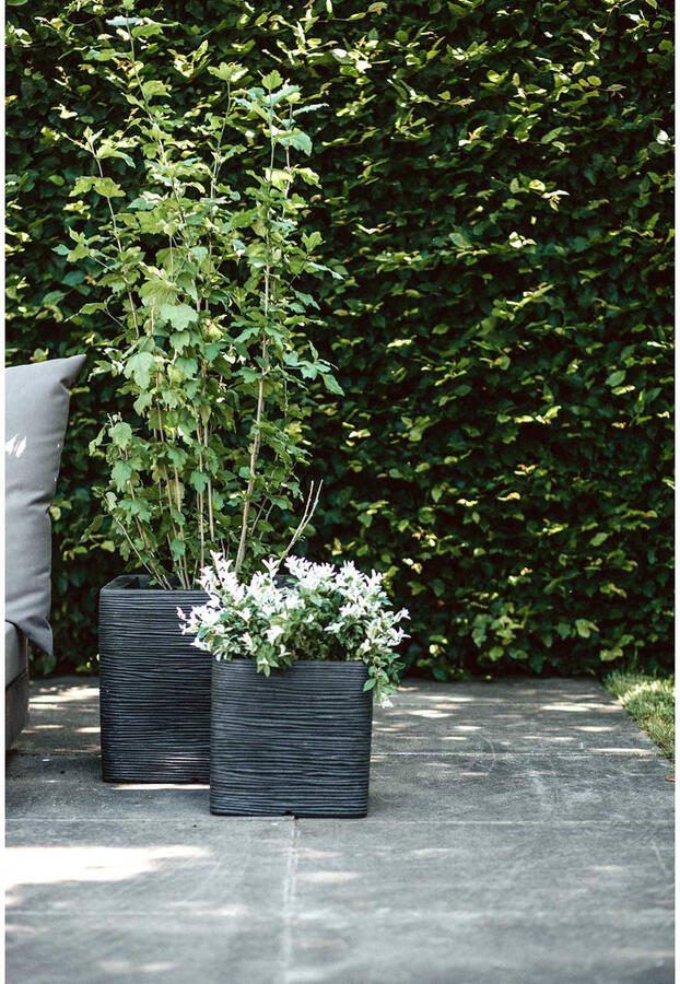 Capi Europe Bloempot vierkant Rib NL 30x30x30 Zwart Opening Ø24 Voor binnen en buiten Levenslang garantie Breukbestendig 100% Recyclebaar KBLR902 Opening Ø24 Bloempot voor binnen 5 jaar garantie KBLR902 - Foto 4