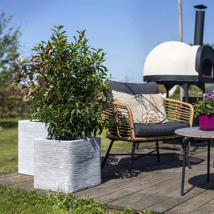 Capi Europe Bloempot vierkant Rib NL 30x30x30 Ivoor Opening Ø24 Voor binnen en buiten Levenslang garantie Breukbestendig 100% Recyclebaar KOFI902 Opening Ø24 Bloempot voor binnen 5 jaar garantie KOFI902 - Foto 3