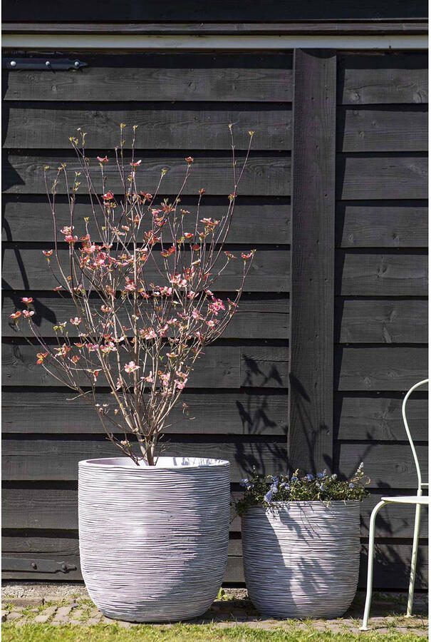 Capi Europe Bloempot bol Rib NL 35x34 Ivoor Opening Ø29 Voor binnen en buiten Levenslang garantie Breukbestendig 100% Recyclebaar KOFI932 Opening Ø29 Bloempot voor binnen 5 jaar garantie KOFI932 - Foto 2