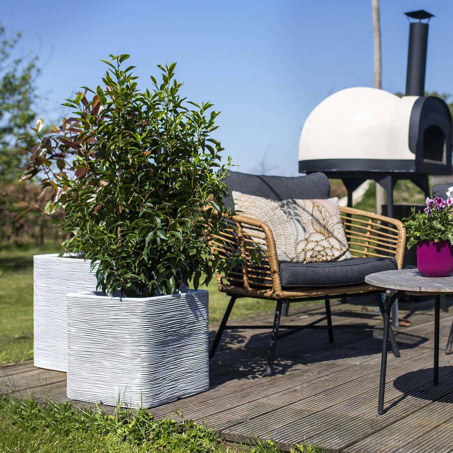 Capi Europe Bloempot vierkant Rib NL 50x50 Ivoor Opening Ø42 Bloempot voor binnen en buiten Levenslang garantie Breukbestendig 100% Recyclebaar CO2 Neutraal geproduceerd KOFI904 - Foto 2