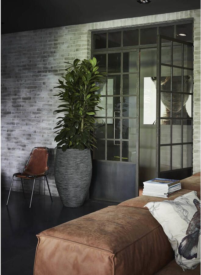 Capi Europe Vaas elegant deluxe Rib NL 45x72 Antraciet Opening Ø31 Voor binnen en buiten Levenslang garantie Breukbestendig 100% Recyclebaar KOFZ1138 Opening Ø31 Bloempot voor binnen 5 jaar garantie KOFZ1138 - Foto 5