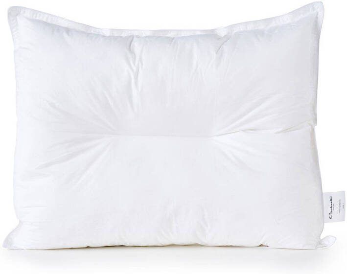 Cinderella New Classic Soft Hoofdkussen Zacht Polyester Vulling Katoenen Tijk 60x70 cm - Foto 3