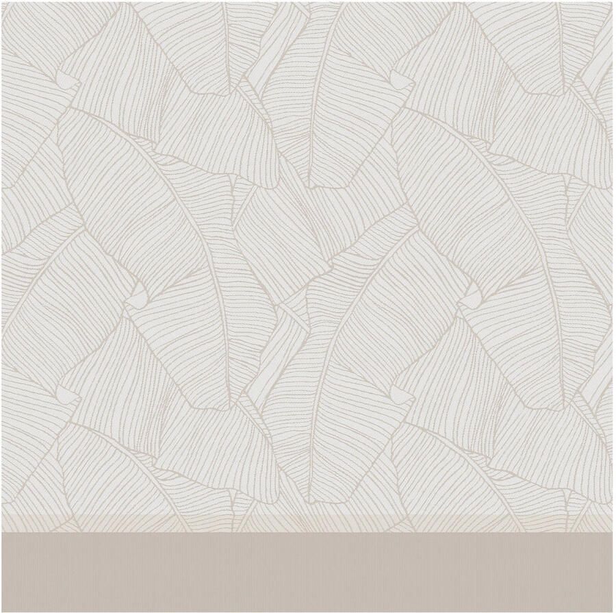 DDDDD Barrier 6x Theedoeken Set van 6 stuks 60x65cm Wit - Foto 2