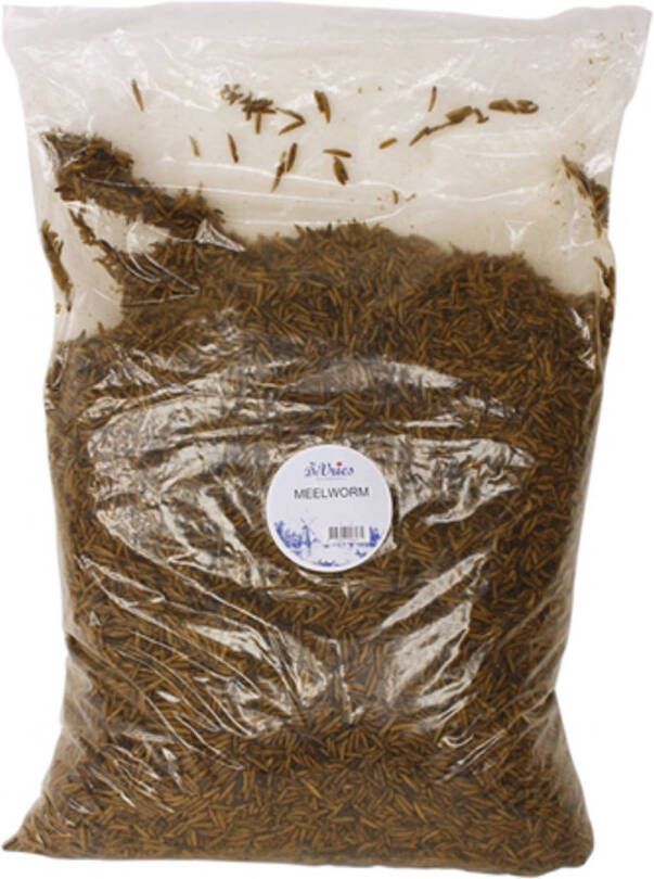 De Vries Black Soldier Fly Meelworm 5 kg