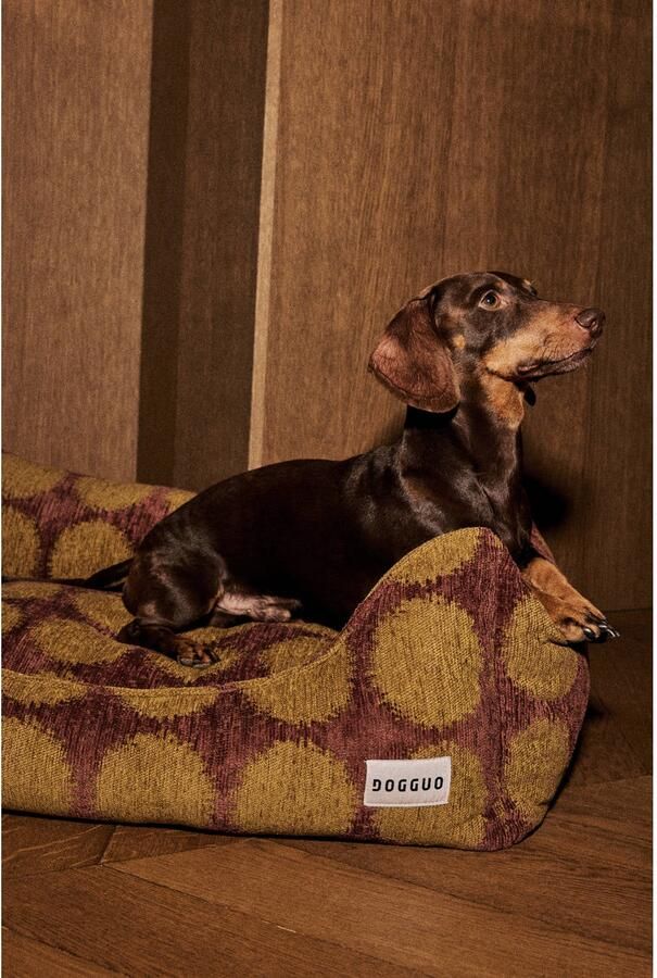 Dogguo Hondenmand DOT-SOFA-BROWN GREEN-L