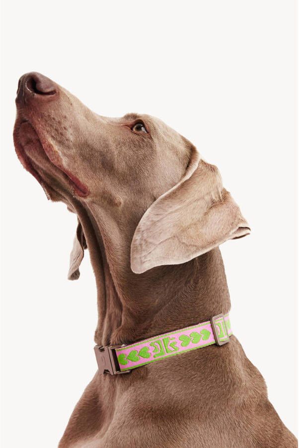 Dogguo & Loavies Hondenhalsband DL-COLLAR-GREEN-M