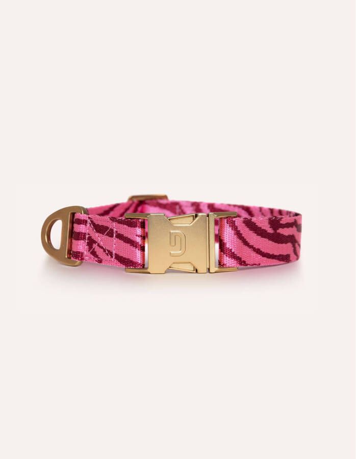 Dogguo hondenhalsband ZEBRA-COLLAR-BORDEAUX PINK-L