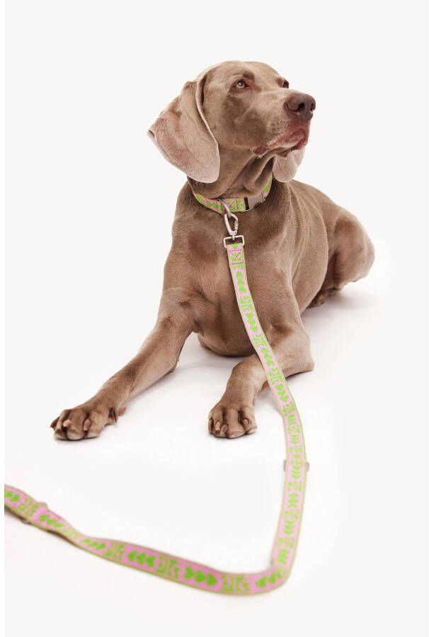 Dogguo & Loavies Hondenriem DL-LEASH-GREEN-M