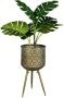 Dutchbone Plantenstandaard Botanique 53cm Goudkleurig - Thumbnail 2