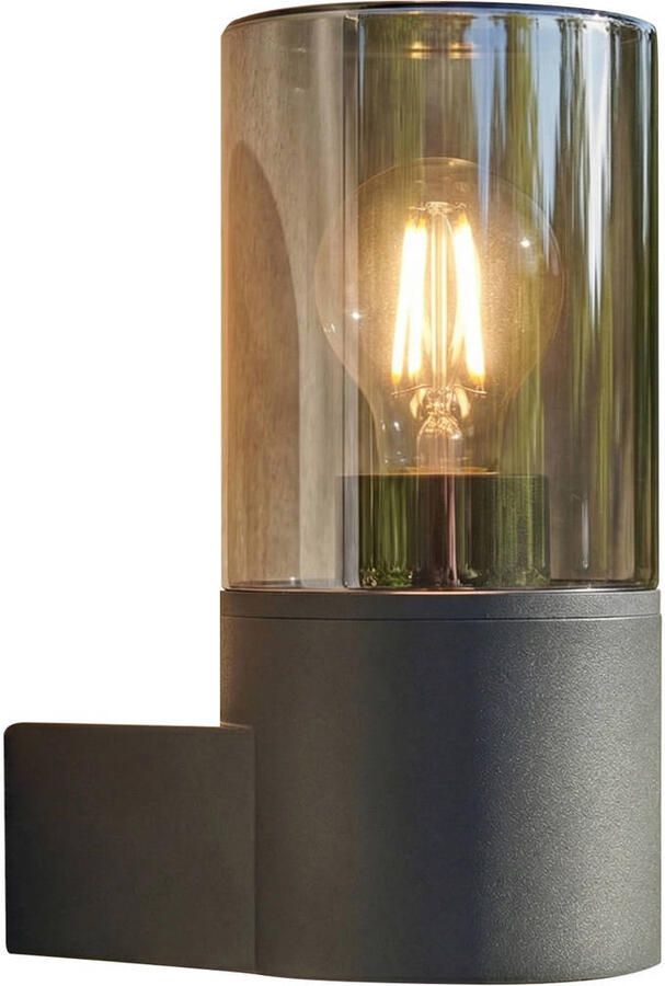 EGLO Cropani Wandlamp Buiten E27 19.5 cm Zwart Grijs Transparant