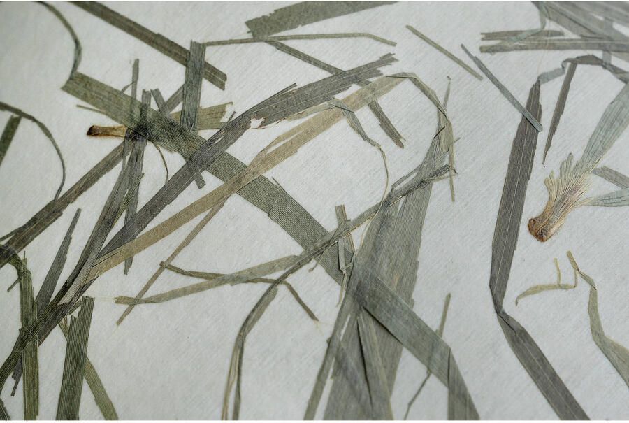 EGLO Plafondlamp OXPARK Plafondlamp Japandi ontwerp woonkamerlamp textiel bamboe bladeren (1 stuk) - Foto 6