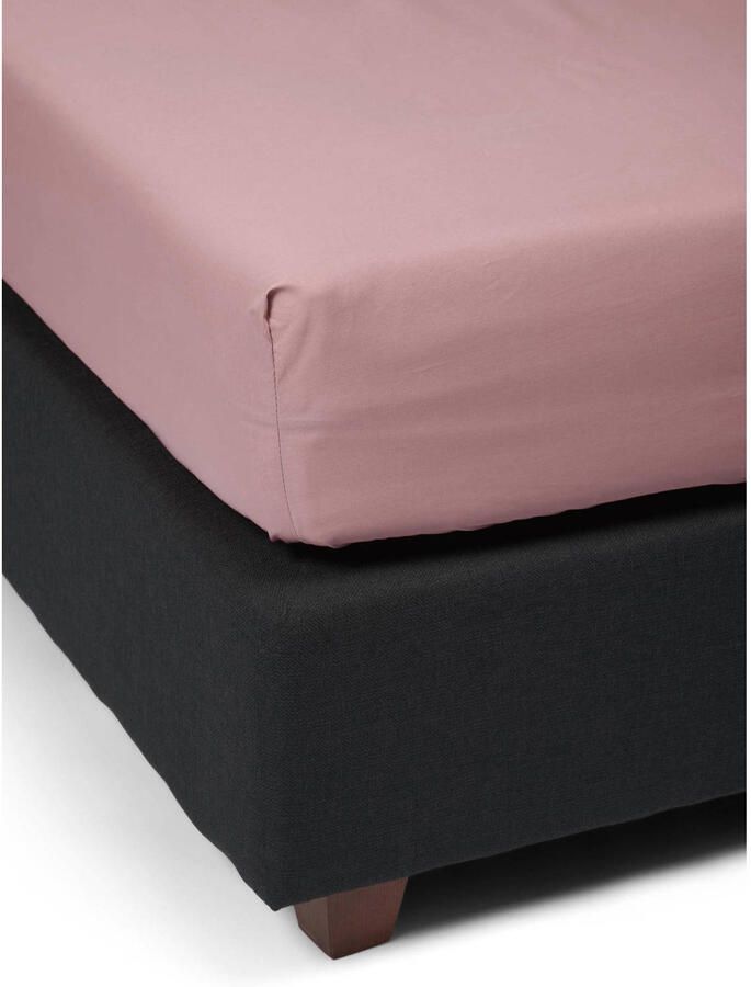 Essenza Premium Percale Hoeslaken Woodrose 160x200 cm - Foto 3