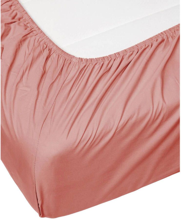Essenza hoeslaken 1 pers 200 Minte dusty rose - Foto 4