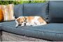 Garden Impressions Orangebird loungeset 4-delig beige donkergrijs - Thumbnail 3