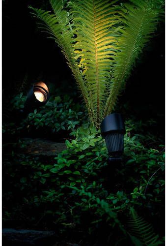 Garden Lights tuinspot Focus 12 V