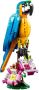 LEGO Creator 3in1 Exotische Papegaai Kikker Vis Dieren Speelgoed Set voor Kinderen 31136 - Thumbnail 3