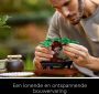 LEGO Creator Expert 10281 Bonsai creatieve hobby voor volwassenen DIY botanische decoratieset - Thumbnail 4